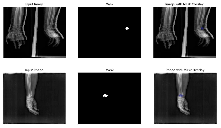 CIDN in medical imaging