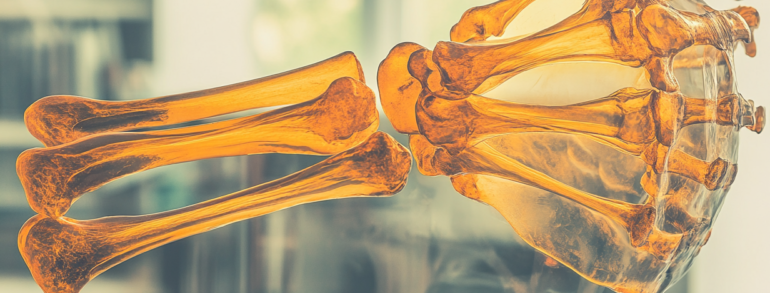 Enhancing Medical Image Segmentation with CIDN: A New Approach to Detecting Vessels and Bone Fractures